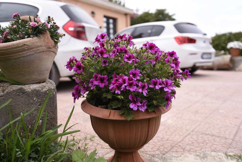La Casa Dei Sogni Bed & Breakfast Syracuse Ngoại thất bức ảnh